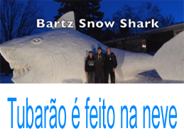 tubarão feito na neve